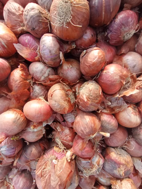 Cebola Nacional (kg)